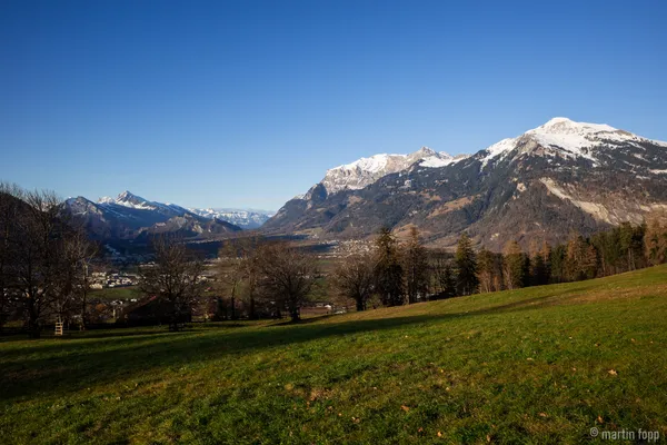 01 spazieren im neuen Jahr