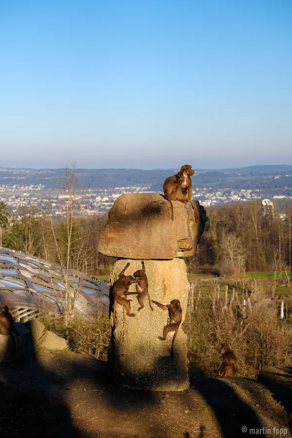 03 Zürich Zoo