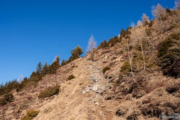 07 ein Wanderweg wie in den USA