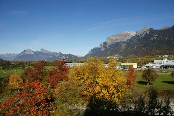 11 der Herbst ist da