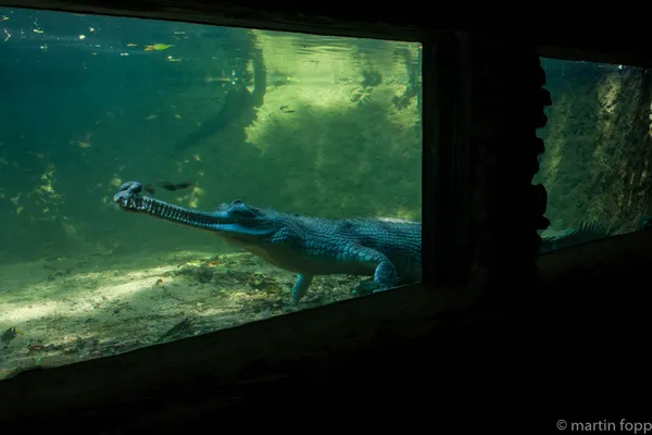 23 hat sich doch noch bewegt