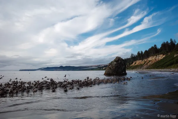 29 Ruby Beach