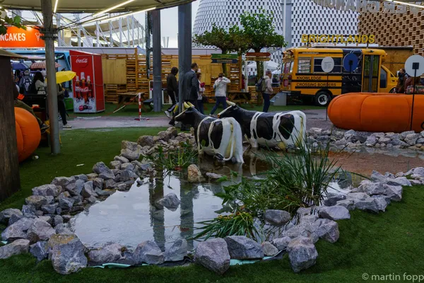 34 Land unter beim holländischen Pavillon